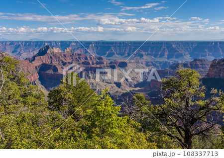 グランドキャニオンノースリム【グランドキャニオンロッジ周辺からの絶景】　 108337713