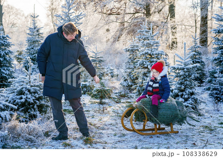 Happy little girl and dad pushing Christmas tree on sleigh. Preschool child with father, young man on fir cutting plantation. Family choose, cut and fell own xmas tree in forest. Germany tradition Happy little girl and dad pushing Christmas tree on sleigh. Preschool child with father, young man on fir cutting plantation. Family choose, cut and fell own xmas tree in forest. Germany tradition 108338629