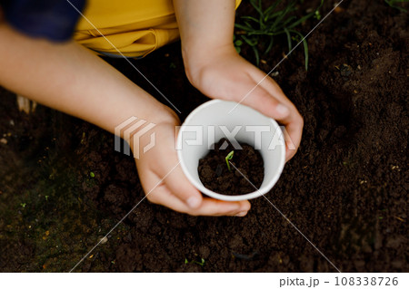 Close-up of hands of little preschool girl planting seedlings of sunflowers in garden. Toddler child learn gardening, planting and cultivating flower and plant. Kids and ecology, environment concept. 108338726