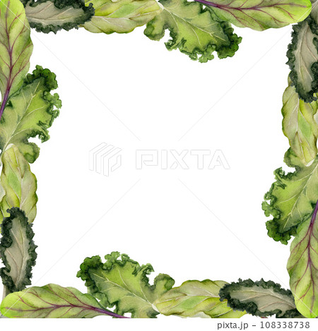 Hand drawn watercolor green salad spinach kale leaf diet and healthy lifestyle, vegan cooking. Illustration square border frame isolated on white background. Design poster, print, website, card, menu Hand drawn watercolor green salad spinach kale leaf diet and healthy lifestyle, vegan cooking. Illustration square border frame isolated on white background. Design poster, print, website, card, menu 108338738