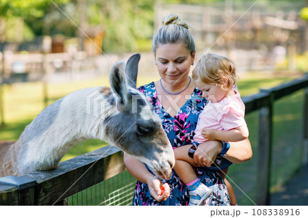 Adorable cute toddler girl and young mother feeding little goats and sheeps on kids farm. Beautiful baby child petting animals in petting zoo. Woman and daughter together on family weekend vacations Adorable cute toddler girl and young mother feeding little goats and sheeps on kids farm. Beautiful baby child petting animals in petting zoo. Woman and daughter together on family weekend vacations 108338916