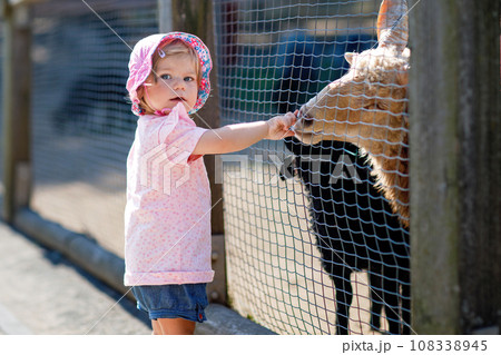 Adorable cute toddler girl feeding little goats and sheeps on a kids farm. Beautiful baby child petting animals in petting zoo. Excited and happy girl on family weekend. Adorable cute toddler girl feeding little goats and sheeps on a kids farm. Beautiful baby child petting animals in petting zoo. Excited and happy girl on family weekend. 108338945