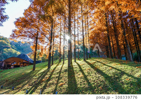 トーベ・ヤンソンあけぼの子どもの森公園（埼玉県飯能市） 108339776