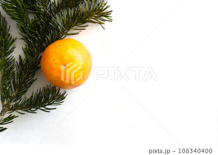 Tangerine fruit with real fir tree branch on white background 108340400