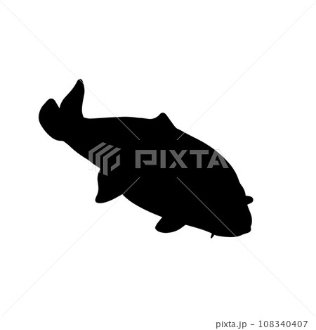 泳ぐ魚　シルエットイラスト　黒 108340407