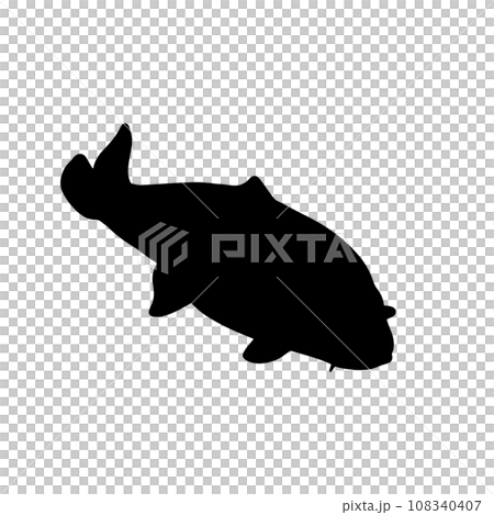 泳ぐ魚　シルエットイラスト　黒 108340407