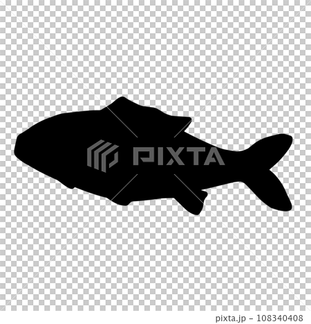 泳ぐ魚　シルエットイラスト　黒 108340408
