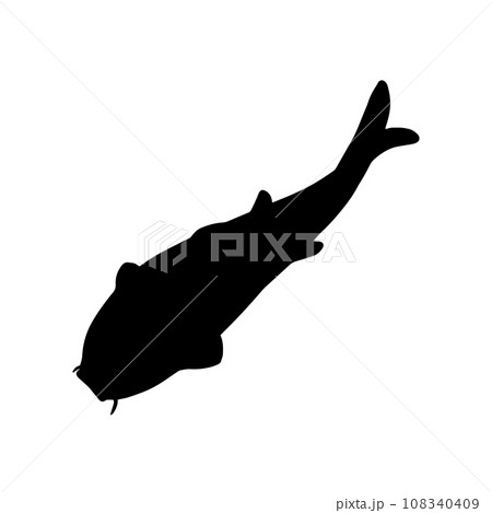 俯瞰から見た泳ぐ魚 シルエットイラスト 黒 俯瞰から見た泳ぐ魚 シルエットイラスト 黒 108340409