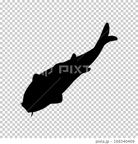俯瞰から見た泳ぐ魚 シルエットイラスト 黒 俯瞰から見た泳ぐ魚 シルエットイラスト 黒 108340409