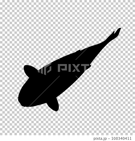 從上面看到的游泳魚剪影圖黑色 108340411