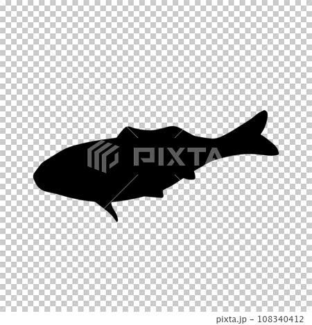 泳ぐ魚　シルエットイラスト　黒 108340412