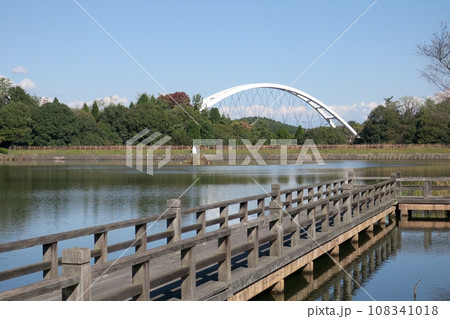 道の駅どんぶり会館横の杉焼池と稚児岩大橋 108341018