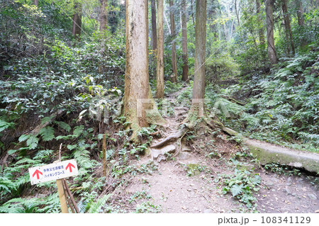 官ノ倉山の登山口（外秩父） 108341129