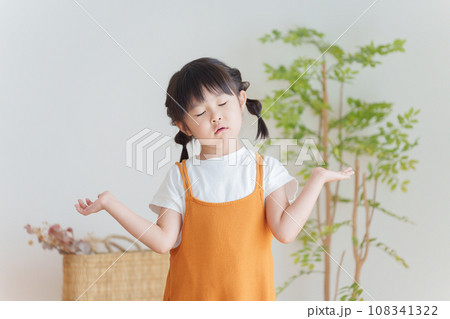 質問する子供 108341322
