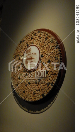 ハワイ　モアナサーフライダー 108341599