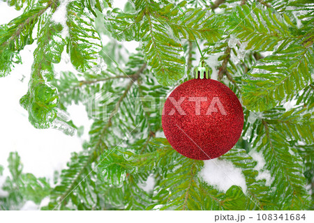 Red shiny Christmas toy ball hanging on a fir branch in the snow. Celebration of 2021 New Year Red shiny Christmas toy ball hanging on a fir branch in the snow. Celebration of 2021 New Year 108341684