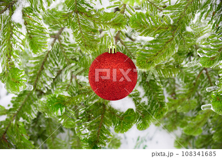 Red shiny Christmas toy ball hanging on a fir branch in the snow. Celebration of 2021 New Year Red shiny Christmas toy ball hanging on a fir branch in the snow. Celebration of 2021 New Year 108341685