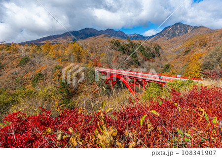八ヶ岳 紅葉と赤い橋(東沢橋) 山梨県北杜市 八ヶ岳 紅葉と赤い橋(東沢橋) 山梨県北杜市 108341907