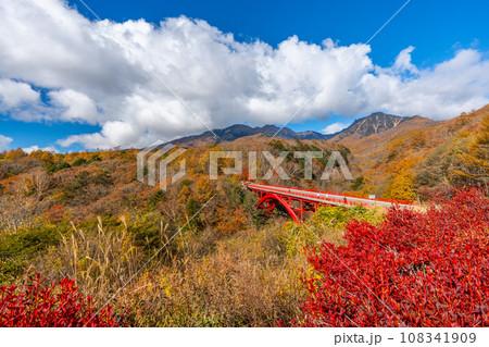 八ヶ岳 紅葉と赤い橋(東沢橋) 山梨県北杜市 八ヶ岳 紅葉と赤い橋(東沢橋) 山梨県北杜市 108341909