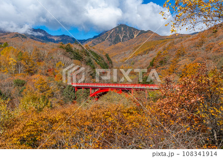 八ヶ岳　紅葉と赤い橋（東沢橋）　山梨県北杜市 108341914