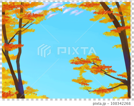 Autumn sky and maple 108342268