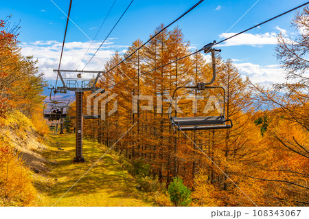 秋の清里テラス 山梨県 秋の清里テラス 山梨県 108343067