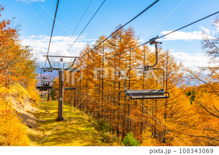秋の清里テラス　山梨県 108343069