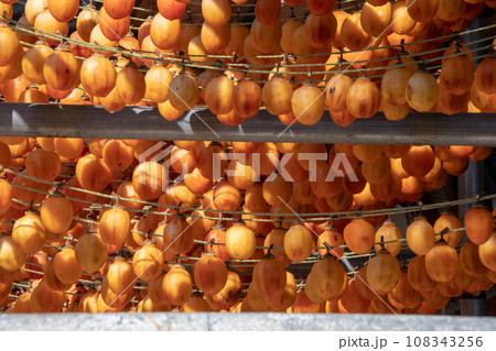 岡山県矢掛町小田 山ノ上地区の干し柿 岡山県矢掛町小田 山ノ上地区の干し柿 108343256