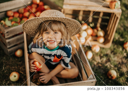 Smiling little child with apple sitting in wooden box in orchard.Organic fruits 108343856