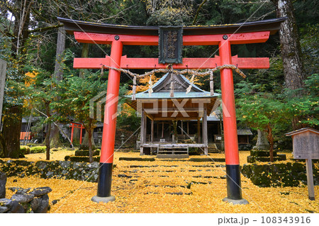 銀杏の落葉が綺麗な京都市北区岩戸落葉神社 銀杏の落葉が綺麗な京都市北区岩戸落葉神社 108343916