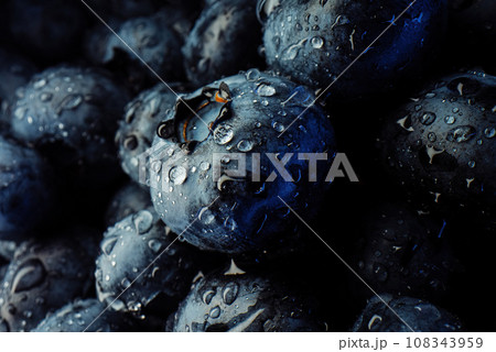 Extreme macro blueberries background. Fresh ripe summer organic berries harvest. 108343959