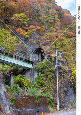 秋の吾妻渓谷　樽沢トンネル　群馬県 108344081