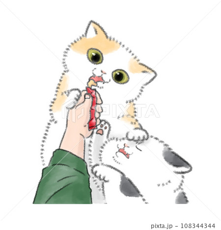 おやつを奪い合う猫 おやつを奪い合う猫 108344344