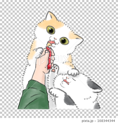 おやつを奪い合う猫 おやつを奪い合う猫 108344344