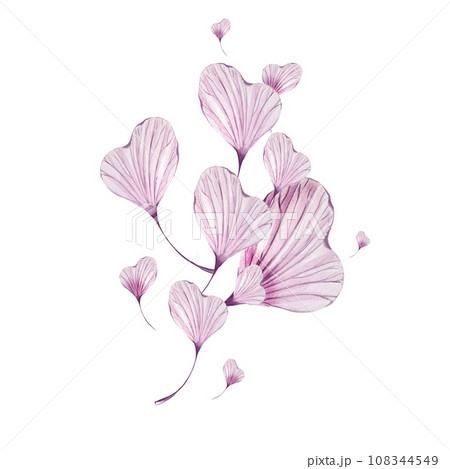 composition with flower purple petal. isolated on white background 108344549