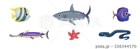 Cute Sea Animals and Underwater Creature with Shark, Starfish, Fish and Eel Vector Set 108344570