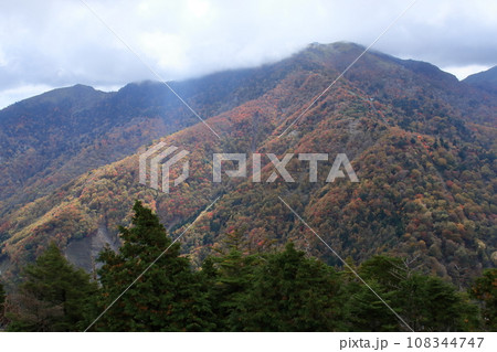 剣山 山を彩る紅葉 (日本百名山 徳島県) 剣山 山を彩る紅葉 (日本百名山 徳島県) 108344747