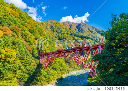 青空に映える黒部峡谷の黄葉の山とトロッコ列車 108345456