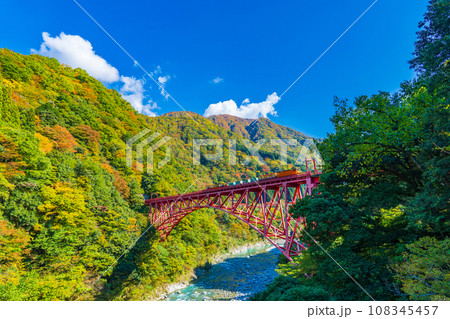 青空に映える黒部峡谷の黄葉の山とトロッコ列車 青空に映える黒部峡谷の黄葉の山とトロッコ列車 108345457