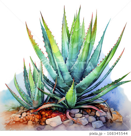 Aloe Vera Watercolor illustration. Hand drawn underwater element design. Artistic  marine design element. Illustration for greeting cards, printing and other design projects. 108345544