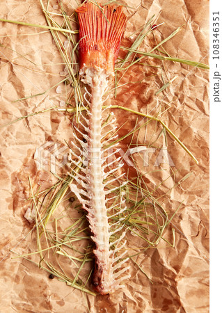 Carcass of smoked sea perch on wooden cutting board. Carcass of smoked sea perch on wooden cutting board. 108346351