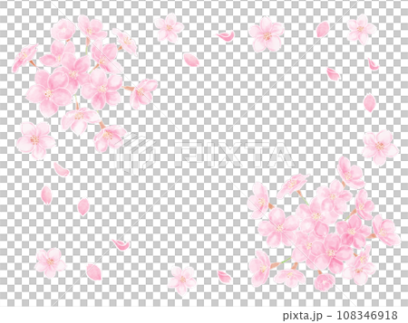 Frame of cherry blossoms in full bloom painted in watercolor Frame of cherry blossoms in full bloom painted in watercolor 108346918