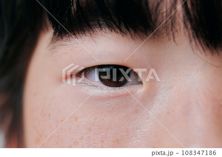 小学4年生の目 108347186