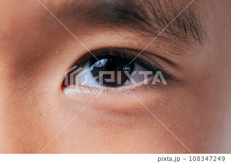 小学3年の男の子の目 108347249