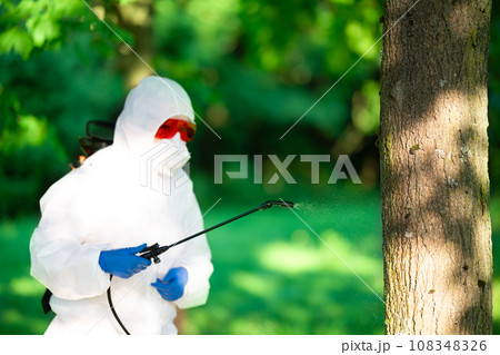 A worker sprays pesticides on trees outdoors. Tree pest control. Insect pest control A worker sprays pesticides on trees outdoors. Tree pest control. Insect pest control 108348326