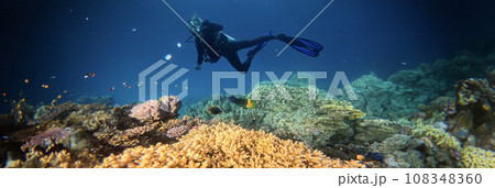 Underwater Tropical Corals Reef with colorful sea fish and diver. Marine life sea world. Tropical colourful underwater panormatic seascape. 108348360