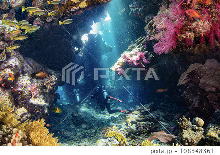 Underwater Tropical Corals Cave with Scuba Diver. Marine Life Sea World. Tropical Colourful Underwater Seascape. 108348361