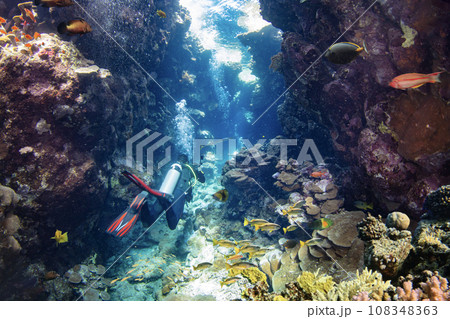 Underwater Tropical Corals Cave with Scuba Diver. Marine Life Sea World. Tropical Colourful Underwater Seascape. Underwater Tropical Corals Cave with Scuba Diver. Marine Life Sea World. Tropical Colourful Underwater Seascape. 108348363
