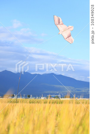 鳥よけ 鳥よけ 108349028