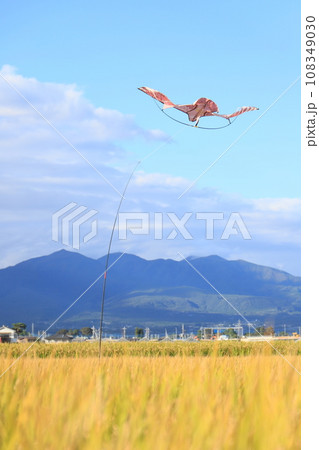 鳥よけ 鳥よけ 108349030